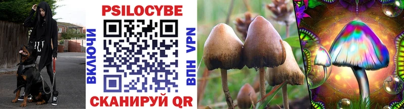 Псилоцибиновые грибы Cubensis  Вуктыл 